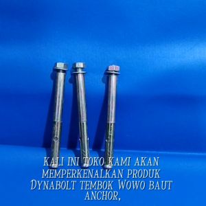 Dynabolt tembok WOWO Baut Anchor Dinabolt 8x40 8x65 8x85 10x65 10x77 10x97 12x129 12x60 12x75 12x99