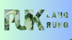 ใบย่านางปลอดสารพิษ ใบย่านางเก็บสดใหม่จาสวนที่บ้าน มัดละ 40 ใบ