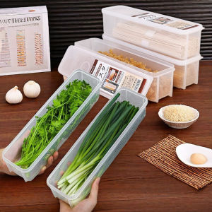 Japanese Import Rectangular Food Storage Box Spaghetti Box Crisper Refrigerator Coriander Green Chinese Onion Organize Fantastic