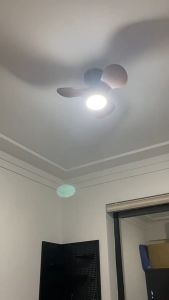 YYD 20/24 นิ้วพัดลม + ไฟ LED พลังงานลมขนาดใหญ่ประหยัดพลังงานพัดลมเพดานเงียบ