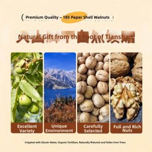 Xinjiang Thin Shell Uncooked Natural 185 Variety Walnuts Snack