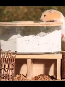 Hamster Bathroom Hamster Toilet Combo Bath Box Splash-Proof Triangular Transparent Excavation Bathing Tub Supplies