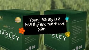 Amazing Barley from Australia Authentic and legit young barley grass comes with 10sachets in a box good for all ages for healthy lifestyle and cancer prevention