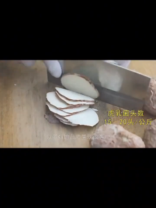 Authentic Dried Wild Tiger Milk Mushroom (Malaysia Origin) | 80g/200g Packs | Premium Wellness Ingredient HU RU JUN