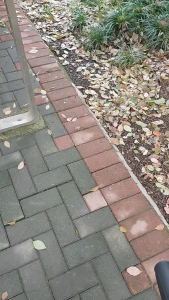 Electric Cordless Leaf Blower Rechargeable Lightweight Portable Air Blower for Lawn and Outdoor Cleaning with Warranty