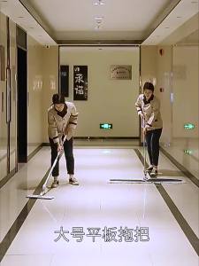 HANSHILIUJIA | Large Commercial & Home Mop Dust Push