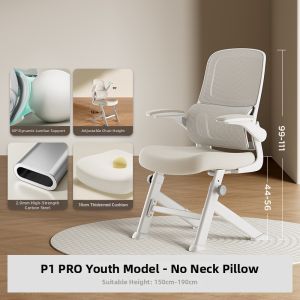 Hbada | Ergonomic Study Chair For Junior High School Students