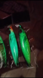 UMPAN MANCING METAL JIG KOIKA FULL GID MOTIF IKAN ASLI  40.60.80.100.10.200 gram