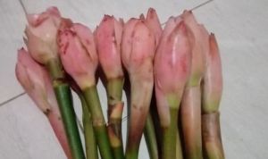 KECOMBRANG BUMBU REMPAH 500 GRAM