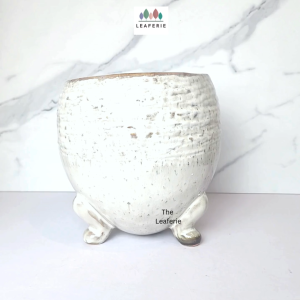 The Leaferie Arnold plant pots. flowerpot . flowerpots . flower pot . planter . planters . Ceramic