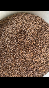 Cà phê Robusta Nhà Mun - 100% Nguyên Chất - Đóng Gói 500g - Hương Vị Nguyên Bản | MM01