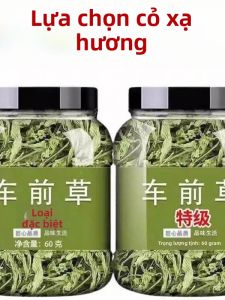 Trà Bánh Tét Sơ Ri Hoang Dã