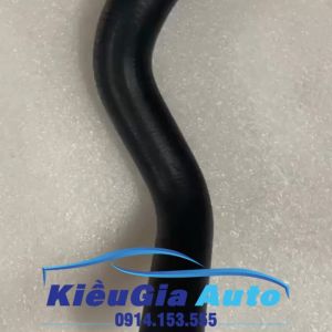 Cao su ống nước Kia Spectra
