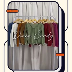 Lina Cardigan Atasan Lengan Panjang Outer Long Sleeve Crop Top Wanita Knit Rantai/Baju atasan style korea-baju setelan wanita terbaru 2024-kaos wanita model baru 2024