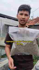 Pelet Tenggelam 1 kg: Pakan Makanan Ikan Berkualitas