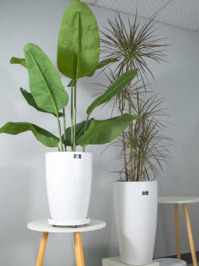 Plastic Melamine Flowerpot For Home Nordic Style Large Diameter Resin Flowerpot Areca Palm Pachira Macrocarpa Green Plant Special Basin