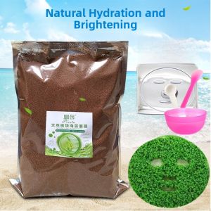 Pure Small Particle Seaweed Mask Natural Hydrating Moisturizing Pore Shrinking Seaweed Clay Beauty Salon Facial Treatment