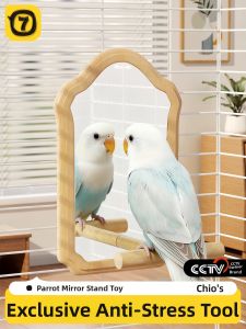 7o | Đồ Chơi Vẹt Giải Trí và Trang Trí
