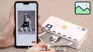 107mm White Thermal Label Sticker For Phomemo M04S/M04AS Printer3 Rolls Per Box