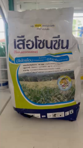 หัวเสือลูกโลก เสือโซนซีน ขนาด 1 กก. มีโซไตรโอน+อะทราซีน สูตรเม็ดแรงกว่า3เท่า คุมฆ่าวัชพืชใบแคบใบกว้าง ฉีดทับ อ้อย ข้าวโพดได้ npkplant