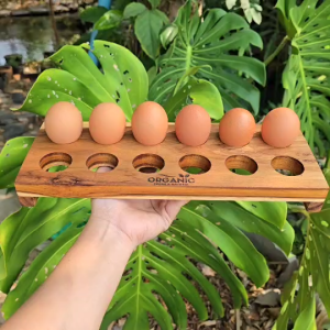 ที่วางไข่ ถาดวางไข่ ไม้สักแท้ ถาดไม้เก็บไข่ สำหรับวางไข่ได้ 12ฟอง ขนาด กว้าง12ซม. ยาว32ซม. ไม่เป็นอันตราย