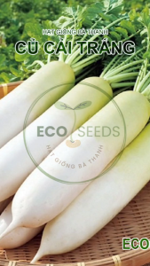 [EcoSeeds] Hạt Giống Củ Cải Trắng Hà Nội - Thích Nghi Sinh Trưởng Tốt Trồng Quanh Năm - Gói Lẻ 10g