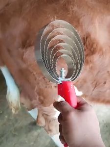 ราคาถูก แปรงขนวัว แปรงเกาขนวัว 4วง สแตนเลสแท้ แปรงขนแกะ แปรงขนม้า ที่เกาขนวัว ขุดเห็บวัว แก้คัน ผ่อนความเครียด