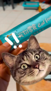 Buy 10pcs Ship 21pcs 15g Liebao Cat Cats Snack Paste Pet All Stages Adult Kitten Cat Cats Wet Food