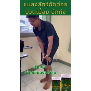 สำลีทองสูตรเข้มข้น ปวดเมื่อยตึงตรงไหนทาตรงนั้น ลดอาการระคายเคืองจากแมลงสัตว์กัดต่อย กลิ่นหอม ไม่ฉุน ไม่แสบผิว ใช้บริเวณหลัง เอว คอบ่า เข่า ทาถู ตรงที่เป็นตามต้องการด้วยสำลีทอง ปวดเมื่อย ผ่อนคลายกลิ่นหอมสดชื่น ปริมาณ 50 ml