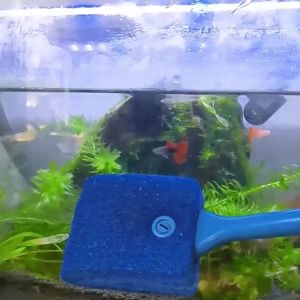 Aquarium Cleaning Brush Water Tank Glass Cleaner Long Handled Wide Sponge Brush Fish Tank Tool For Removing Stubborn Algae