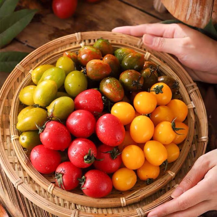 Benih Ceri Tomato Berwarna Warni 20pcs/Mix Colour Cherry Tomato/混色樱桃小番茄 ...