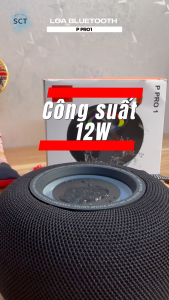 (HÀNG MỚI 2025) Loa Bluetooth P Pro 1 Âm Thanh Sống Động – Pin Khủng – Kết Nối Ổn Định Không Gián Đoạn