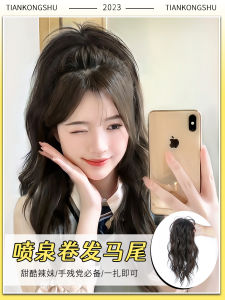 Womens Long Hair Wig Fake Hair High Ponytail Half up Bun Curly Hair Braids Fountain High Top Waterfall Spray Gun Heat Silk