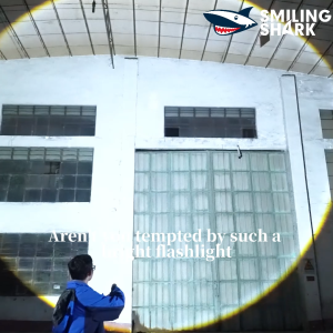 SD5400ฉลามยิ้มไฟฉาย LED M60สว่างสุดๆ5000LM 5โหมดพร้อมตะเกียงตั้งแคมป์ท้าย Type-C ไฟฉายชาร์จไฟได้แคมป์กลางแจ้งกันน้ำ Ing