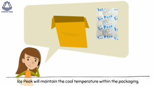 Ice Gel Pack 220g / 340g/ 500g / 1000g - Reusable Keeps Temp Cool For Many Uses (Non-Toxic Food-Safe Milk Baby Food Sports Injuries Ice/Cooler Bags)) 220g/340g/500g/1000g