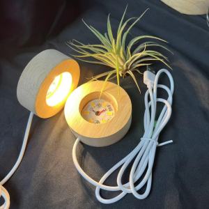 Đèn led đế gỗ tròn - trưng bày quả cầu pha lê sản phẩm Resin bể Terrarium bể cá mini