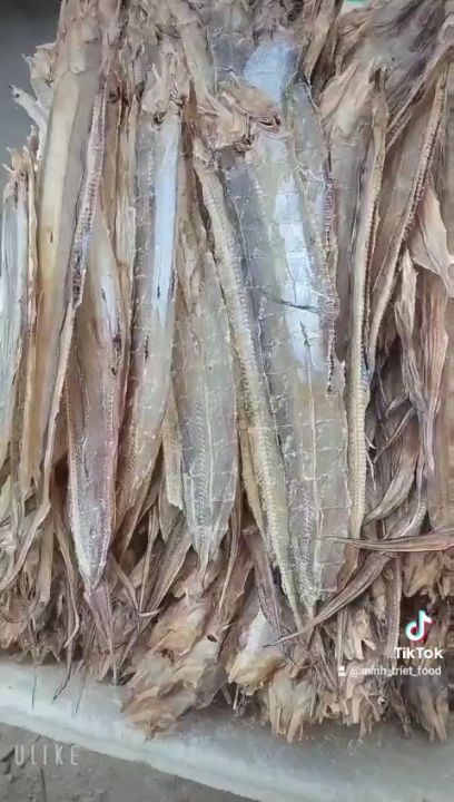 Khô Cá Chình Biển- Cá Chình Mỡ Thơm Ngon Vị Vừa Ăn Thơm Tuyệt Vời- Vựa ...