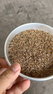 Carraway Jinten Masak 1kg