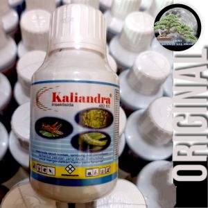 insektisida kaliandra pembasmi hama ampuh