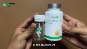 TIENS Muncord Capsule Suplemen Kesehatan Cordyceps 500mg Membantu Menjaga Kesehatan 5 Organ Vital