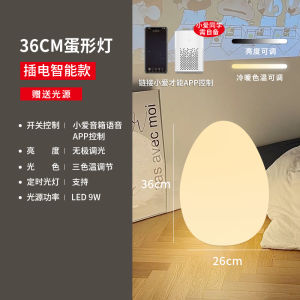 Egg-Shaped Floor Lamp Sofa Living Room Bedroom Luxury Atmosphere Sensation Smart Light North European Style Decorative Table Lamp