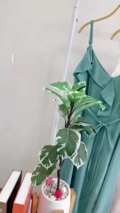 18765 แม็กซี่เดรสสายเดี่ยว เว้าไห่ล แต่งระบายชาย Maxi dress one shoulder strap decorated with fringe.