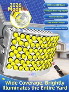 Maiyu | Induction High Power Super Bright Outdoor Light