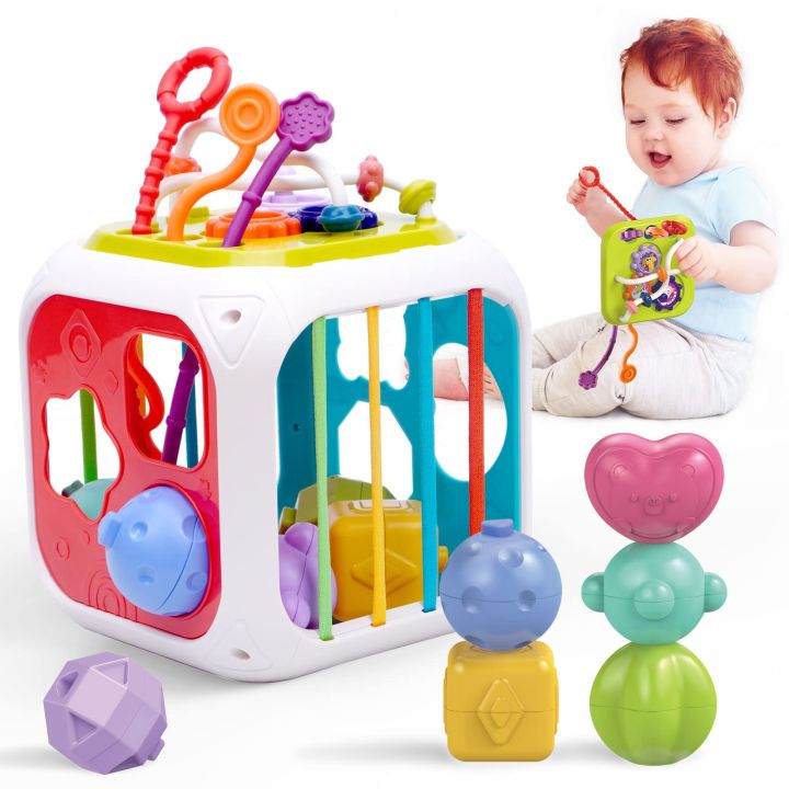 Baby Montessori Toys for Year Old Boy Girl Gifts, Shape Sorter