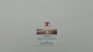 Sekering Scoopy Fi 10a Buntung Merah (PSP) Fuse DX Micro Mikro Sekring Sikring Tusuk 10 Ampere
