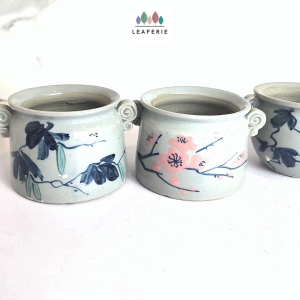 The Leaferie Petit Allegra (Series 6) small mini plant pots. flowerpot . flower pot . planter