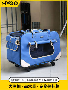 Portable Folding Cat Carrier Bag Small Medium Dog Car Pet Bag Handbag Lightweight Travel Outdoors Pet Cage MYOO DD-00457