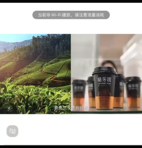 Lan Fong Yuen Silk Stocking Milk Tea 280ml Ice Lemon Tea Yuen Yeung 兰芳园丝袜奶茶鸳鸯奶茶柠檬茶