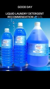 GOOD DAY Liquid Laundry Detergent - 1 Liter