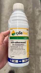 อัลโกลด์ 1 ลิตร เอส เมโทลา กำจัดหญ้า, ใบแคบ ใบกว้าง ในข้าวโพด มันสำปะหลัง อ้อย, ข้าวโพดเลี้ยงสัตว์, ข้าวโพดหวาน อัตรา 200 บรรเทคนิค มากขึ้น